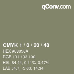 Color code: CMYK 1 / 0 / 20 / 48 | qconv.com