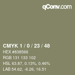 Color code: CMYK 1 / 0 / 23 / 48 | qconv.com