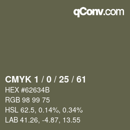 Color code: CMYK 1 / 0 / 25 / 61 | qconv.com