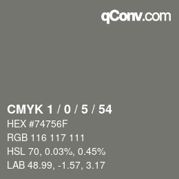 Color code: CMYK 1 / 0 / 5 / 54 | qconv.com