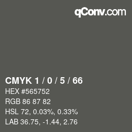 カラーコード: CMYK 1 / 0 / 5 / 66 | qconv.com