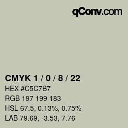 Color code: CMYK 1 / 0 / 8 / 22 | qconv.com