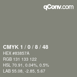 カラーコード: CMYK 1 / 0 / 8 / 48 | qconv.com