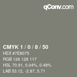 Color code: CMYK 1 / 0 / 8 / 50 | qconv.com