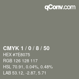 Color code: CMYK 1 / 0 / 8 / 50 | qconv.com