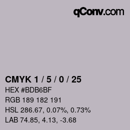 Color code: CMYK 1 / 5 / 0 / 25 | qconv.com