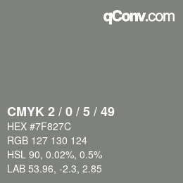 Color code: CMYK 2 / 0 / 5 / 49 | qconv.com