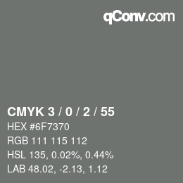 Color code: CMYK 3 / 0 / 2 / 55 | qconv.com