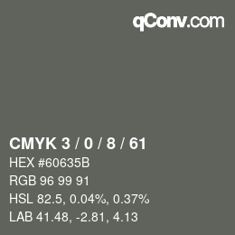 Color code: CMYK 3 / 0 / 8 / 61 | qconv.com