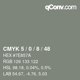 Color code: CMYK 5 / 0 / 8 / 48 | qconv.com