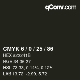Color code: CMYK 6 / 0 / 25 / 86 | qconv.com