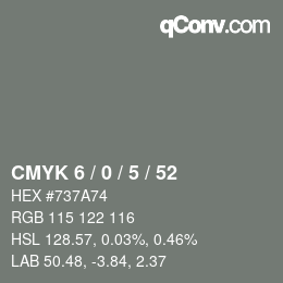 Color code: CMYK 6 / 0 / 5 / 52 | qconv.com
