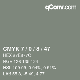 Color code: CMYK 7 / 0 / 8 / 47 | qconv.com