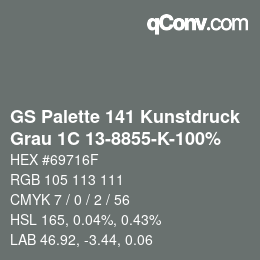 Color code: GS Palette 141 Kunstdruck - Grau 1C 13-8855-K-100% | qconv.com