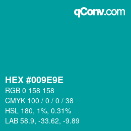 Color code: HEX #009E9E | qconv.com