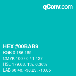 Color code: HEX #00BAB9 | qconv.com