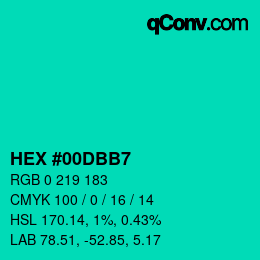 Color code: HEX #00DBB7 | qconv.com