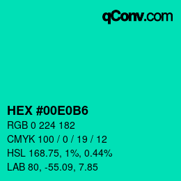 Color code: HEX #00E0B6 | qconv.com