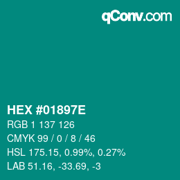 Color code: HEX #01897E | qconv.com