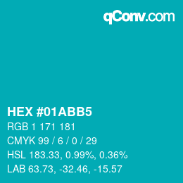 Color code: HEX #01ABB5 | qconv.com