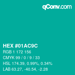 Color code: HEX #01AC9C | qconv.com