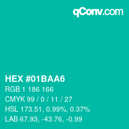 Color code: HEX #01BAA6 | qconv.com