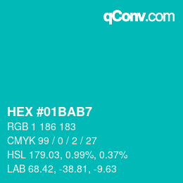 Color code: HEX #01BAB7 | qconv.com