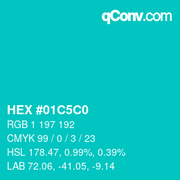 Color code: HEX #01C5C0 | qconv.com