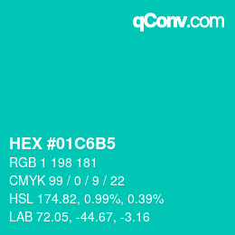 Color code: HEX #01C6B5 | qconv.com