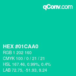 Color code: HEX #01CAA0 | qconv.com
