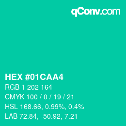 Color code: HEX #01CAA4 | qconv.com