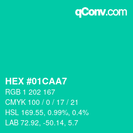 Color code: HEX #01CAA7 | qconv.com