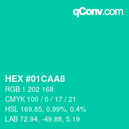 Color code: HEX #01CAA8 | qconv.com