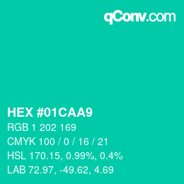 Color code: HEX #01CAA9 | qconv.com