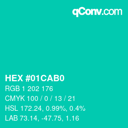 Color code: HEX #01CAB0 | qconv.com