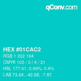 Color code: HEX #01CAC2 | qconv.com