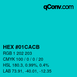 Color code: HEX #01CACB | qconv.com