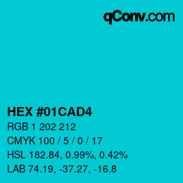 Color code: HEX #01CAD4 | qconv.com