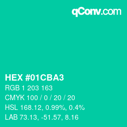 Color code: HEX #01CBA3 | qconv.com