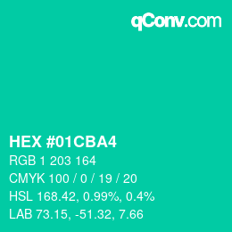 Color code: HEX #01CBA4 | qconv.com