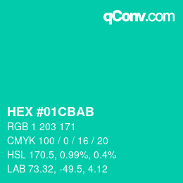 Color code: HEX #01CBAB | qconv.com