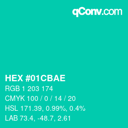 Color code: HEX #01CBAE | qconv.com