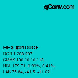 Color code: HEX #01D0CF | qconv.com