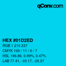 Color code: HEX #01D2ED | qconv.com
