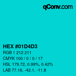 Color code: HEX #01D4D3 | qconv.com