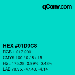 Color code: HEX #01D9C8 | qconv.com