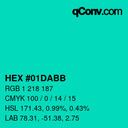 Color code: HEX #01DABB | qconv.com