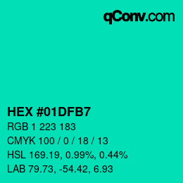 Color code: HEX #01DFB7 | qconv.com