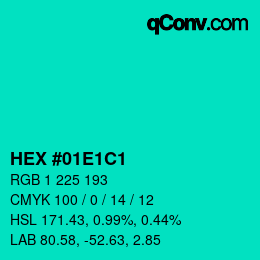 Color code: HEX #01E1C1 | qconv.com