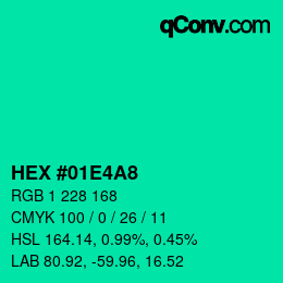 Color code: HEX #01E4A8 | qconv.com